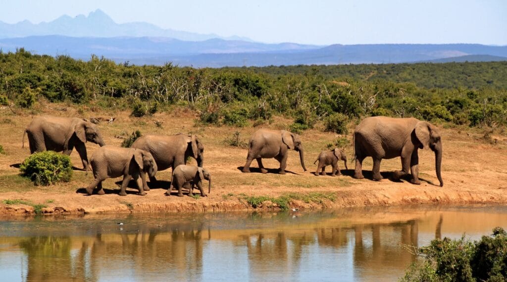 Beach Holiday in South Africa