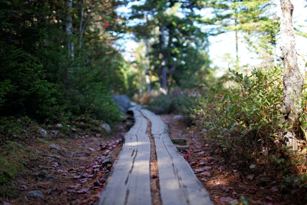 activities when visiting maine