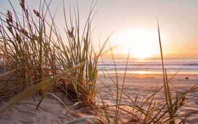 11 Best Yorkshire Beaches For A Day At The Seaside