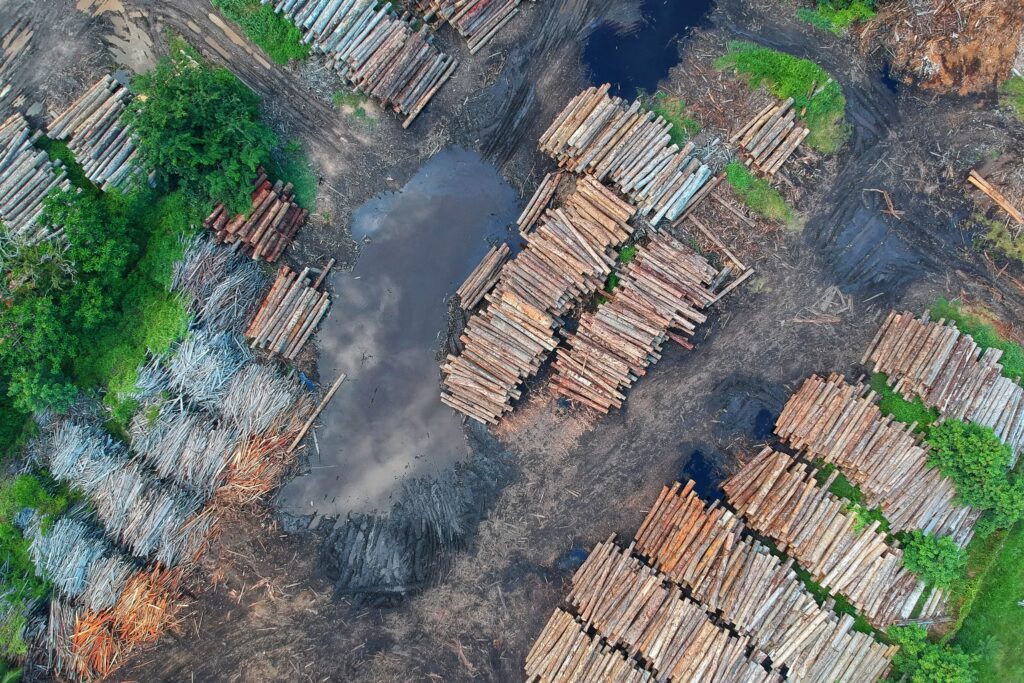 Forks Lumber Mill Tour