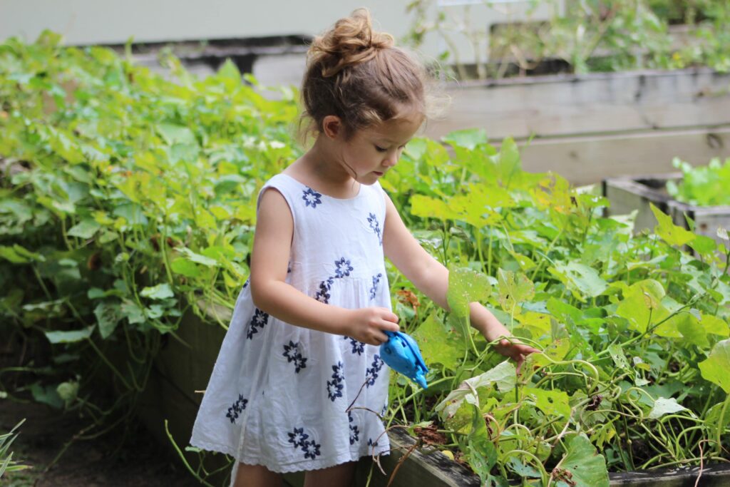 Ithaca Children's Garden