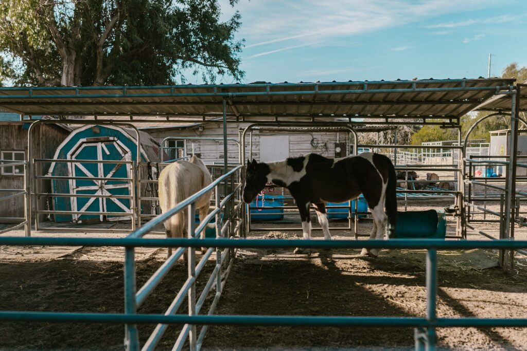 Leonis Adobe Museum