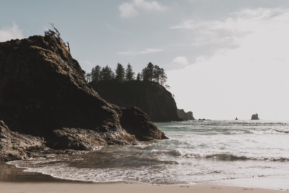 Things To Do In Forks Washington 17 Attractions [Maps]