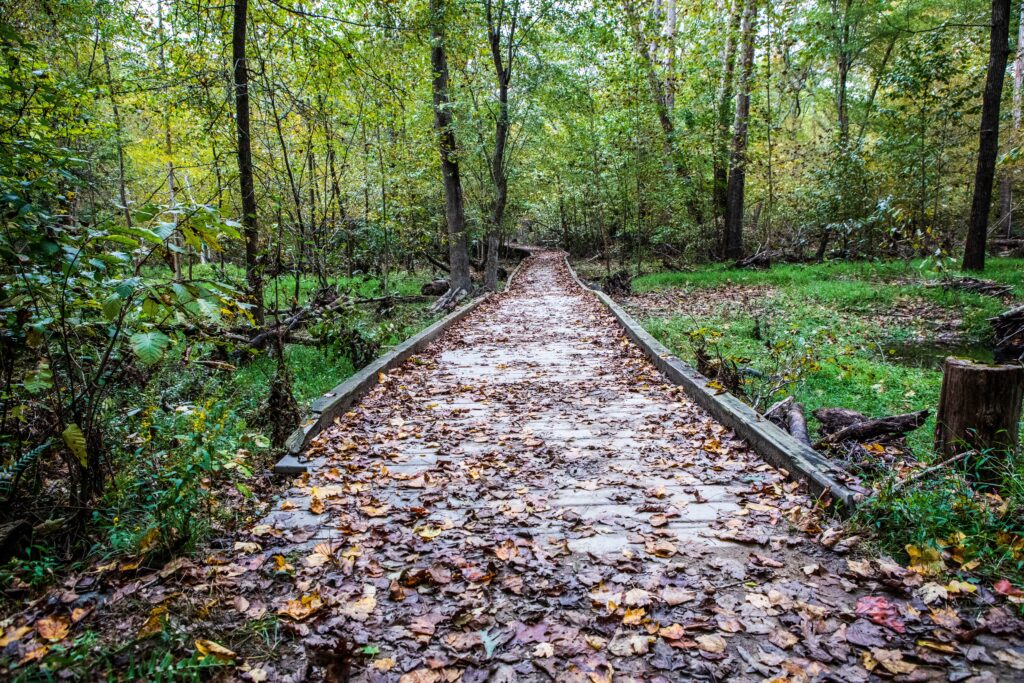 Leeslyvania State Park