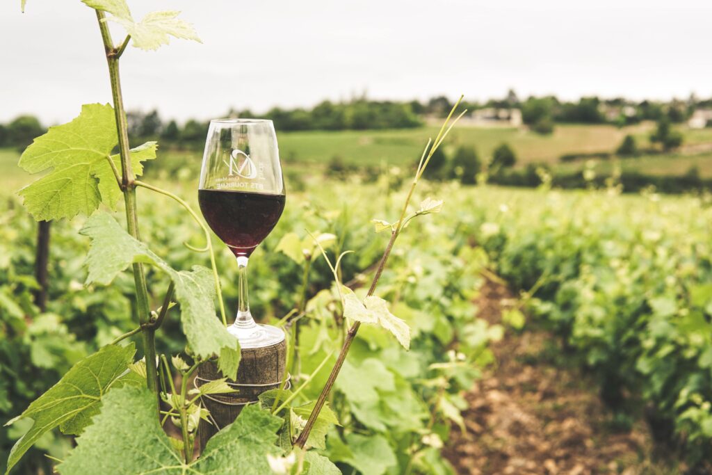 Vineyard and Winery at Catawba Farms