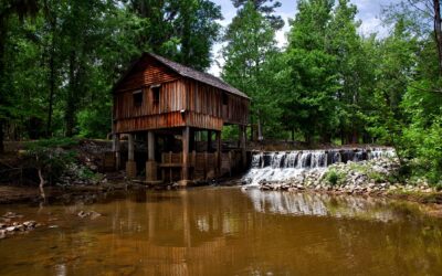 8 Exciting Things to Do in Dothan AL: Must-Do List