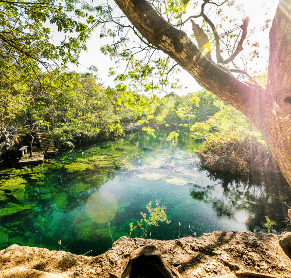 Cenote Manatí