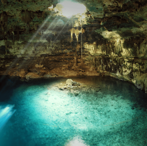 10 Best Riviera Maya Cenotes for Your Swim | TWTWEBSTAR