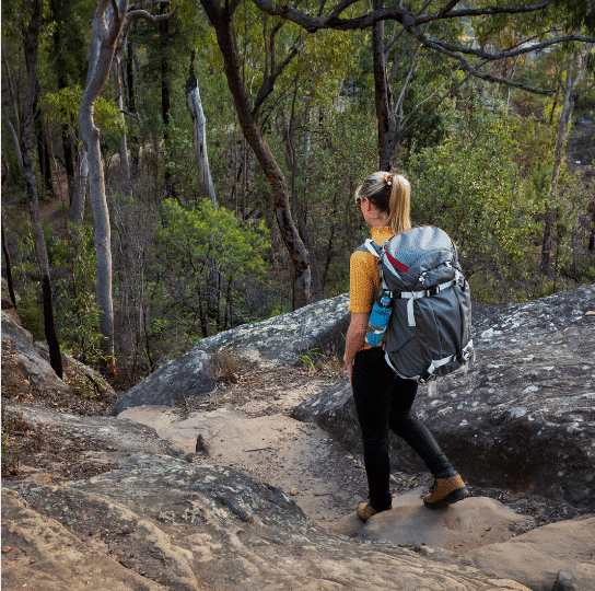 Go for a scenic bushwalk