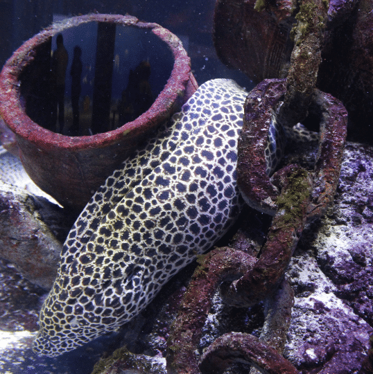 Melbourne Aquarium