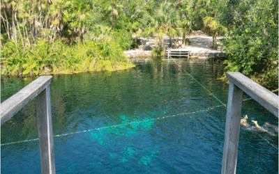 10 Best Riviera Maya Cenotes for Your Swim