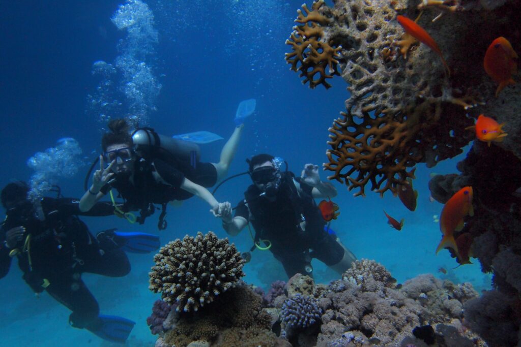 Scuba Diving Adventures