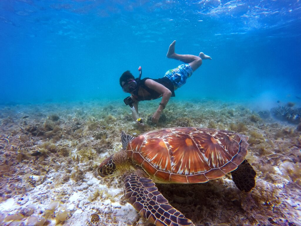 Snorkeling Near Cancun