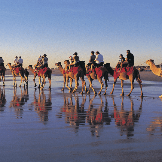 Try camel riding in Broome