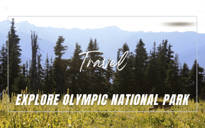 Olympic National Park: Recommended Activities And Sightseeing