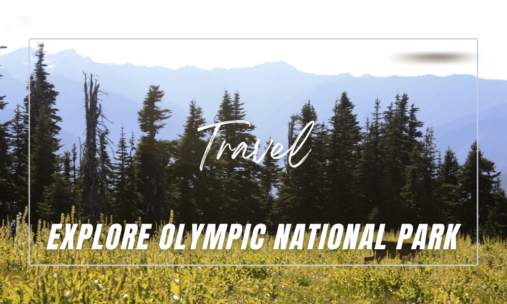 Olympic National Park