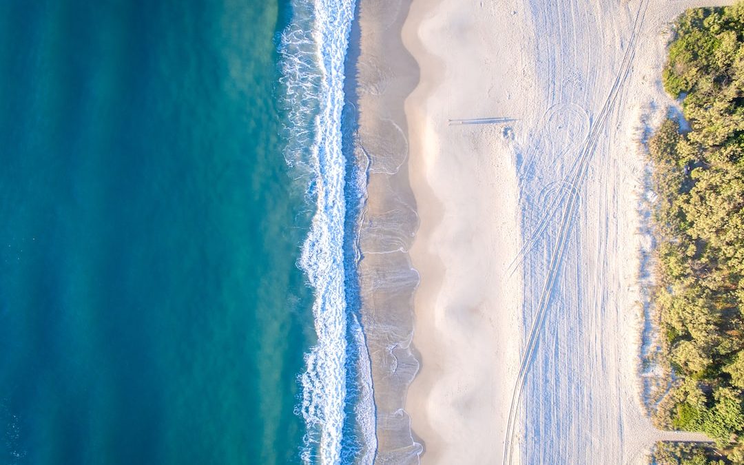 aerial photo of beach at daytime
