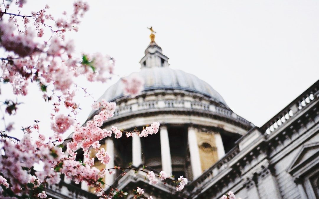 shallow focus photography of temple near pink flowers