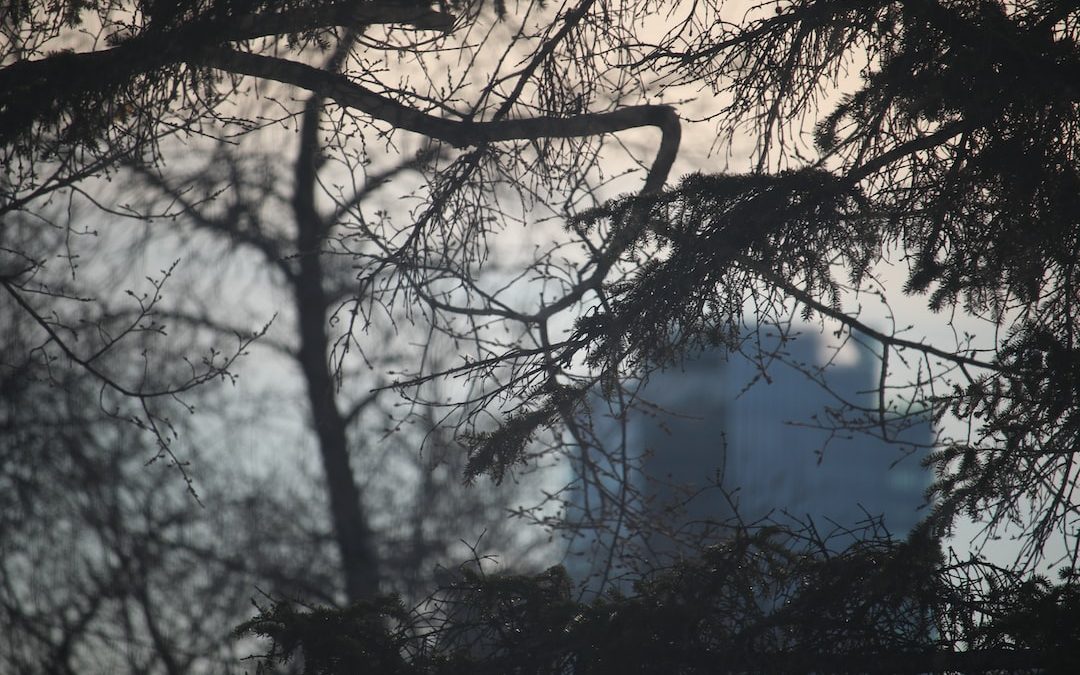 a view of a building through the branches of a tree