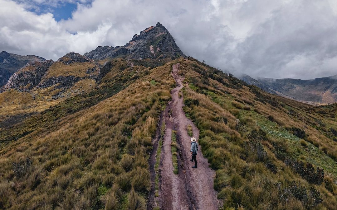 A Road Trip Through South America