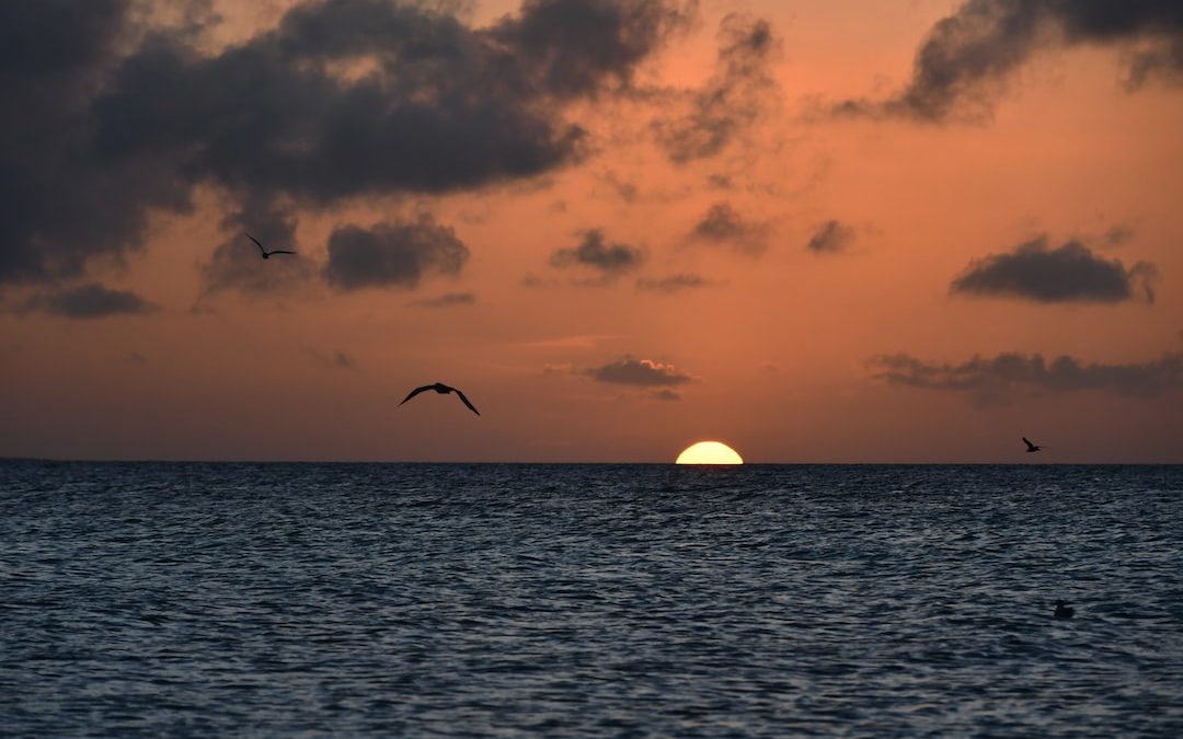 a sunset over the ocean with birds flying in the sky