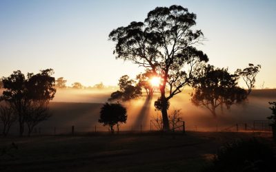 Preserving Australia’s Cultural Heritage Sites