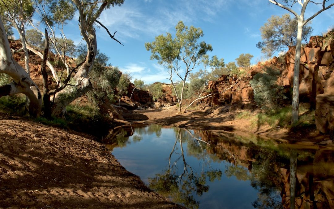 Explore the Natural Wonders of Australia