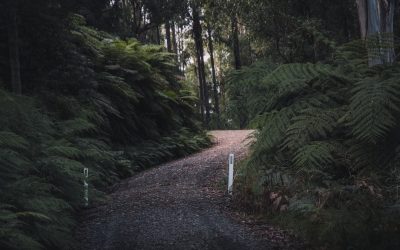 Uncovering the Mysteries of Australia’s Cultural Heritage Sites