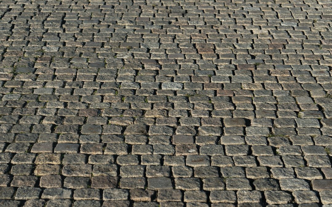 a black and white cat laying on a brick road