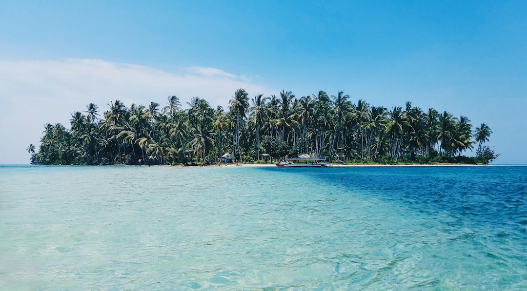 coconut trees on island under blue sky