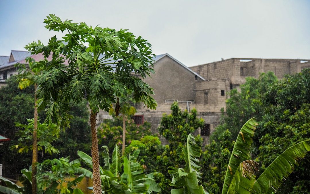 a stone building with a tower