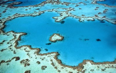 Exploring the Great Barrier Reef: Australia’s Most Stunning Natural Wonder