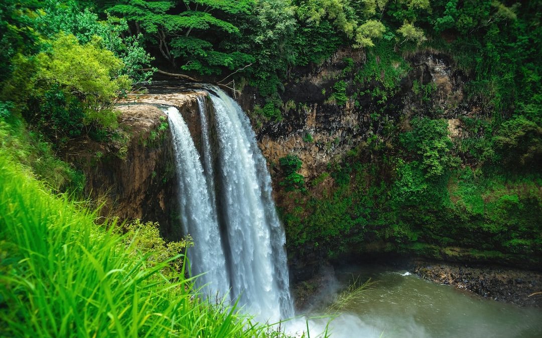 a waterfall in a forest