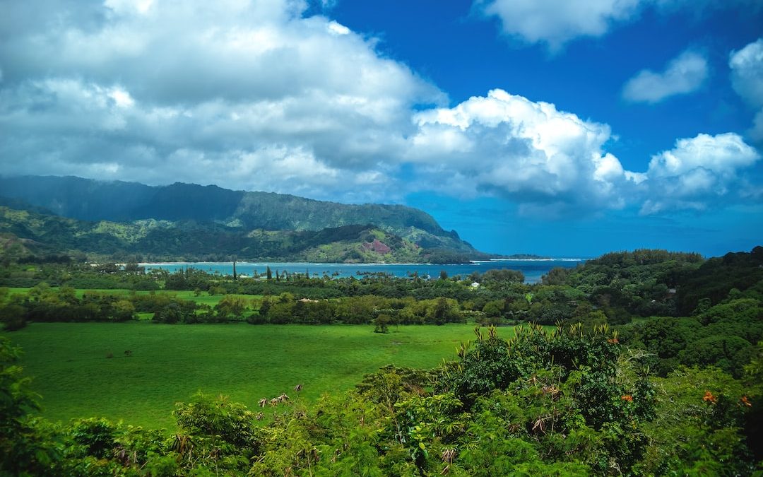 a landscape with trees and a body of water in the background