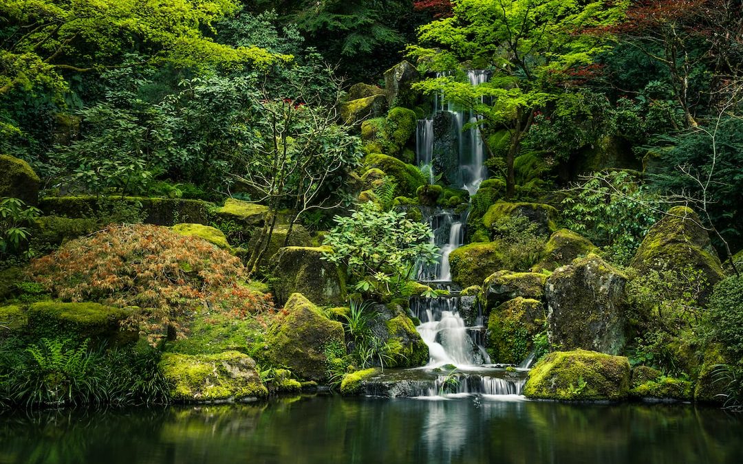 green moss on rock formation near water falls