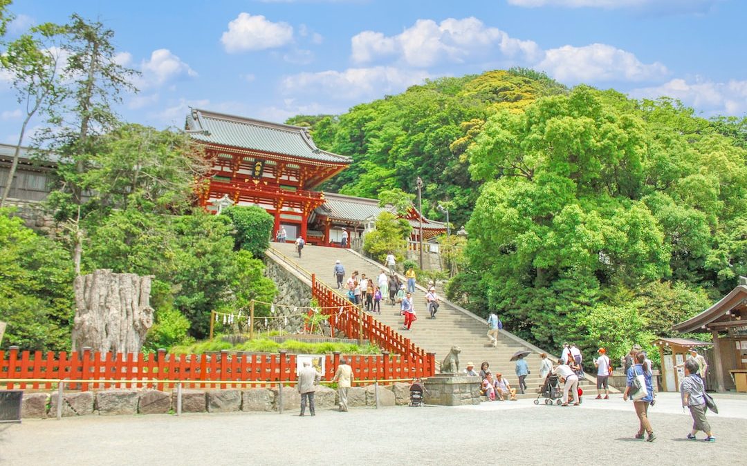 a group of people walking around a park