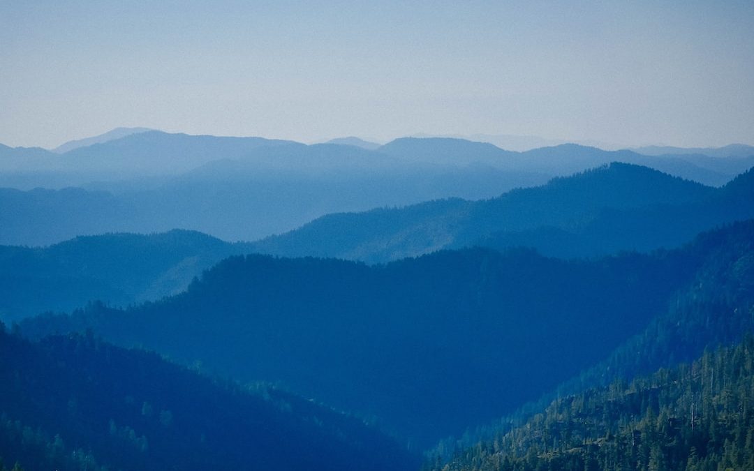 green trees on mountains during daytime