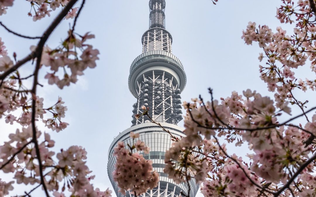 view of white metal tower through cherry blossom tree