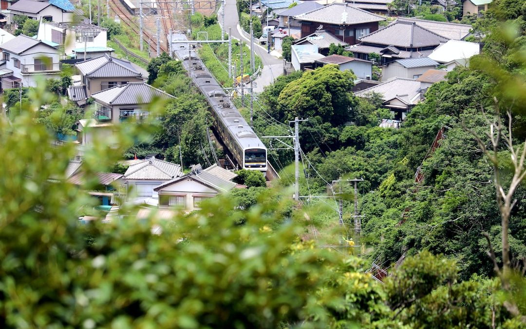 green trees near houses during daytime