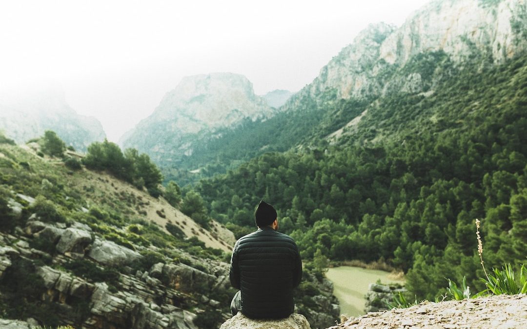 man sitting on rock looking at green trees in mountains