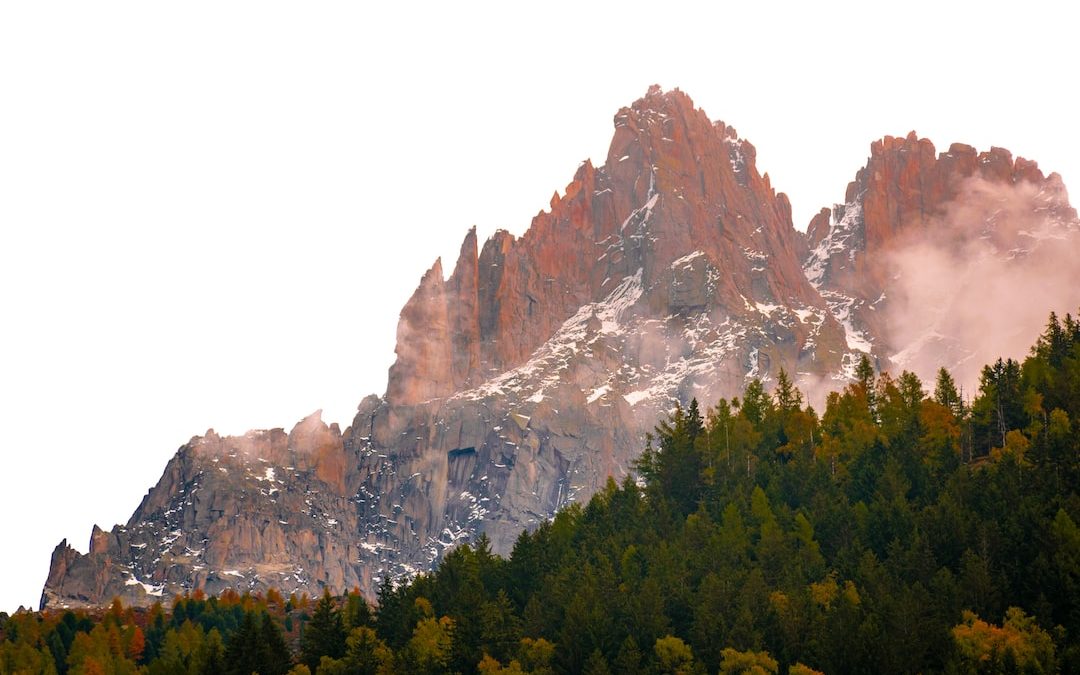 a mountain with trees below