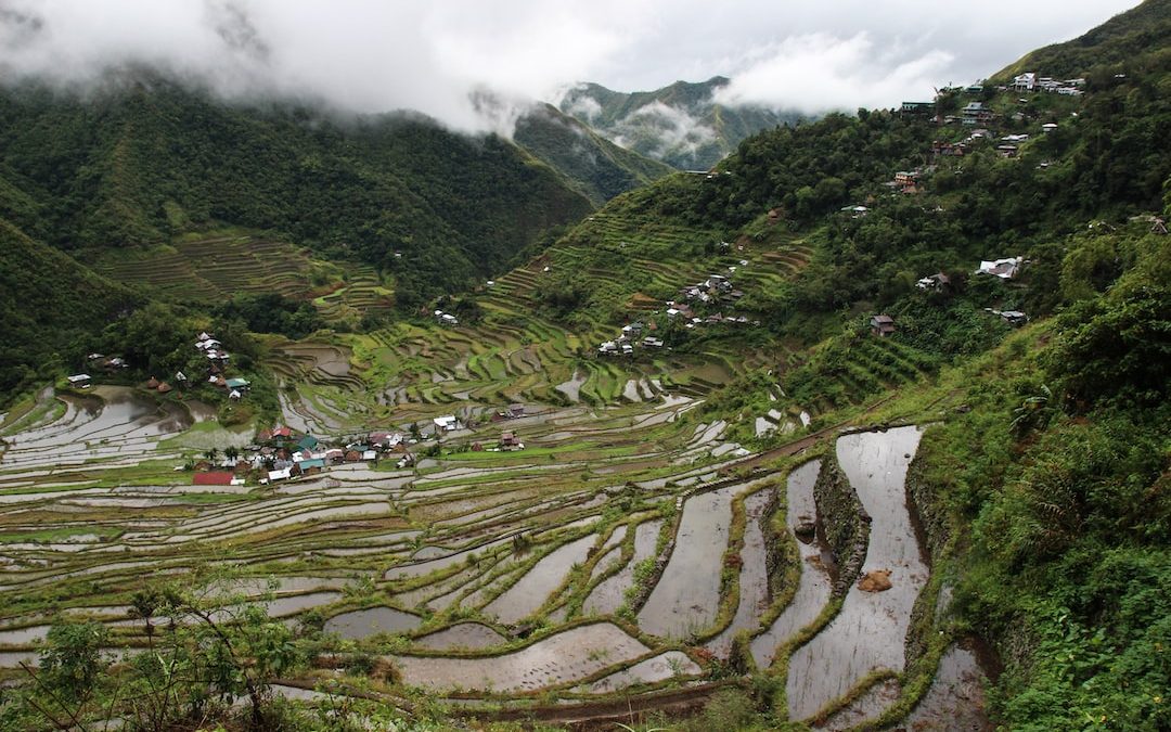 rice terraces view during day