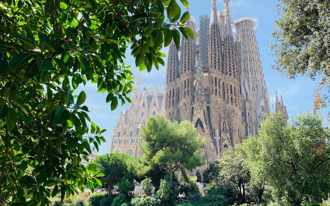 green trees near brown concrete building during daytime