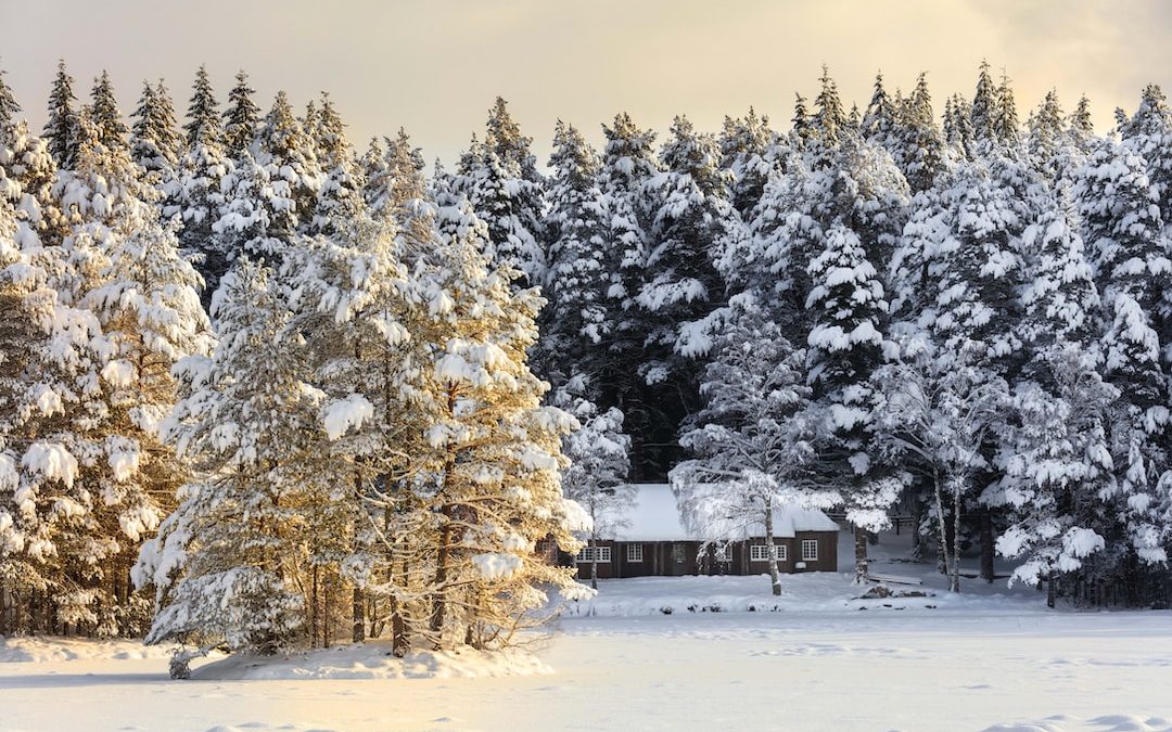 a house surrounded by snow covered trees