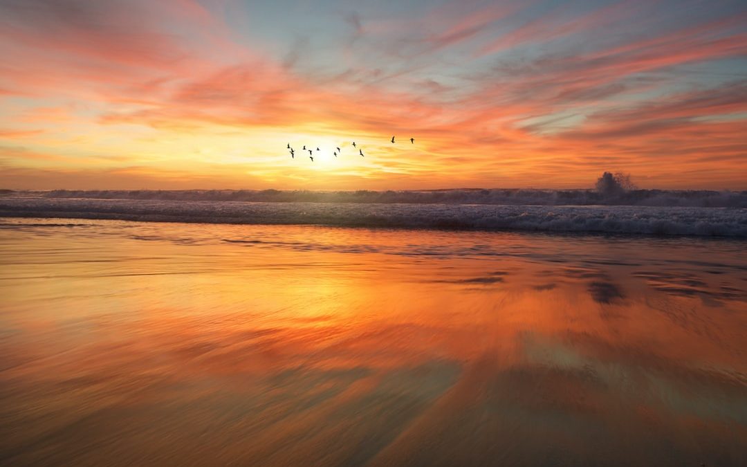 shoreline during golden hour