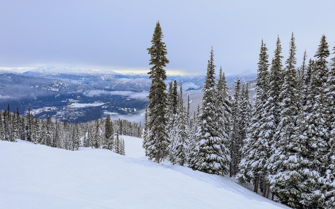 a snow covered hill with trees and mountains in the background