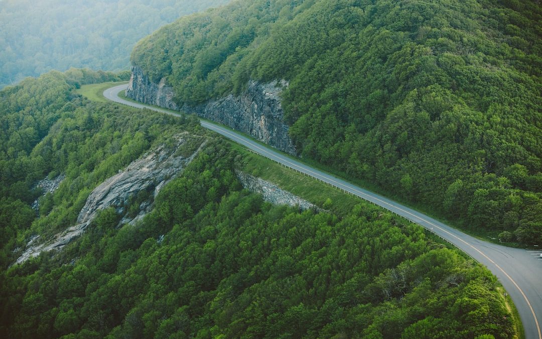 a winding road through a forest