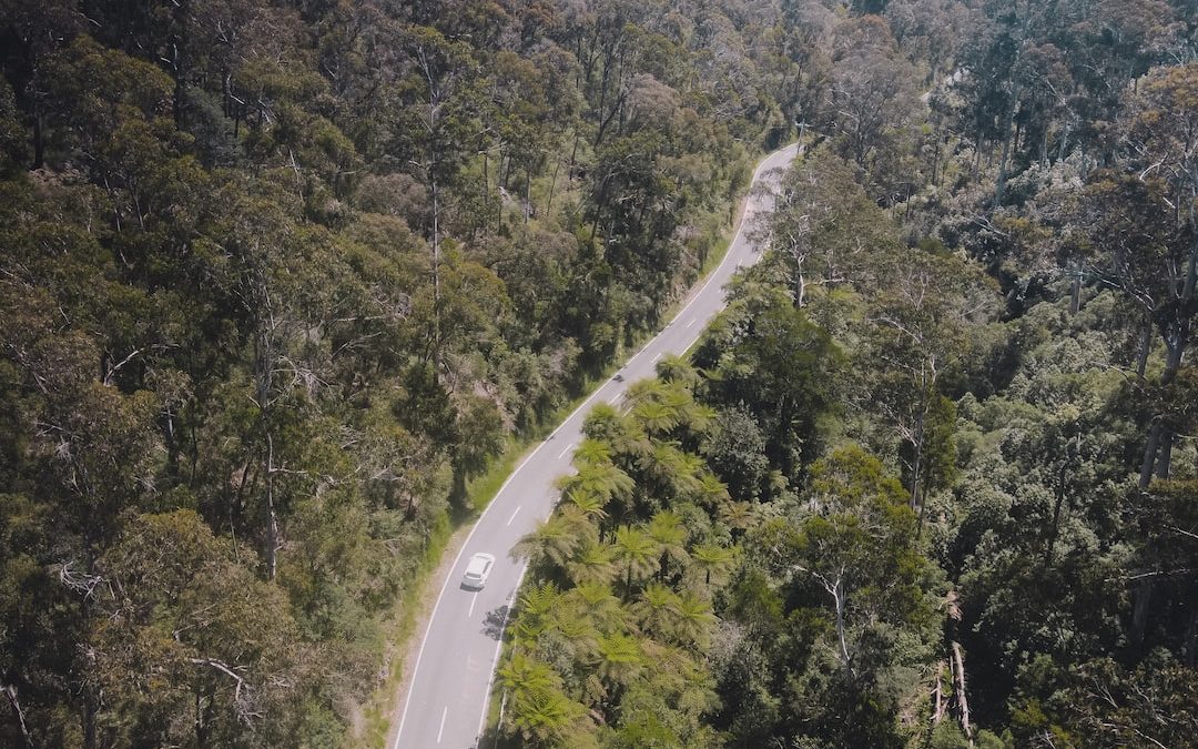 Exploring the Natural Wonders of Frenchville Rockhampton