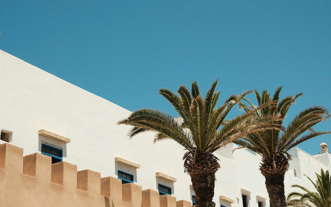 palm trees in front of a building