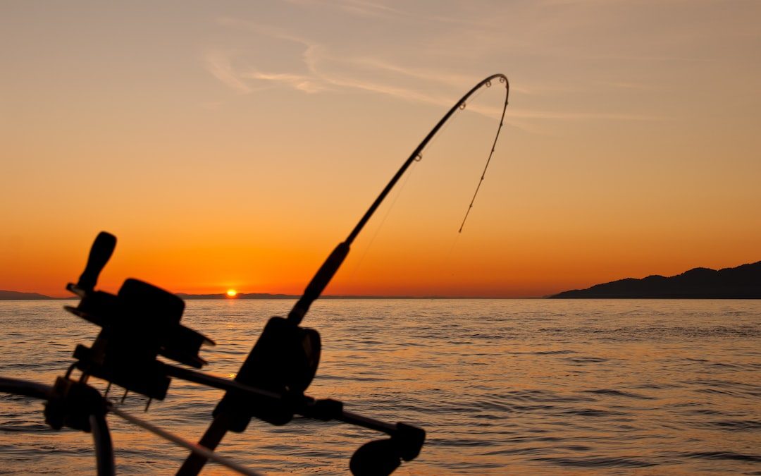 black fishing rod and body of water during golden hour